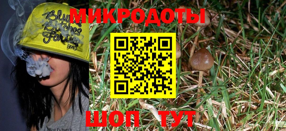 Псилоцибиновые грибы ЛСД  Галлюциногенные грибы Magic Shrooms  Вход с VPN  Хасавюрт 