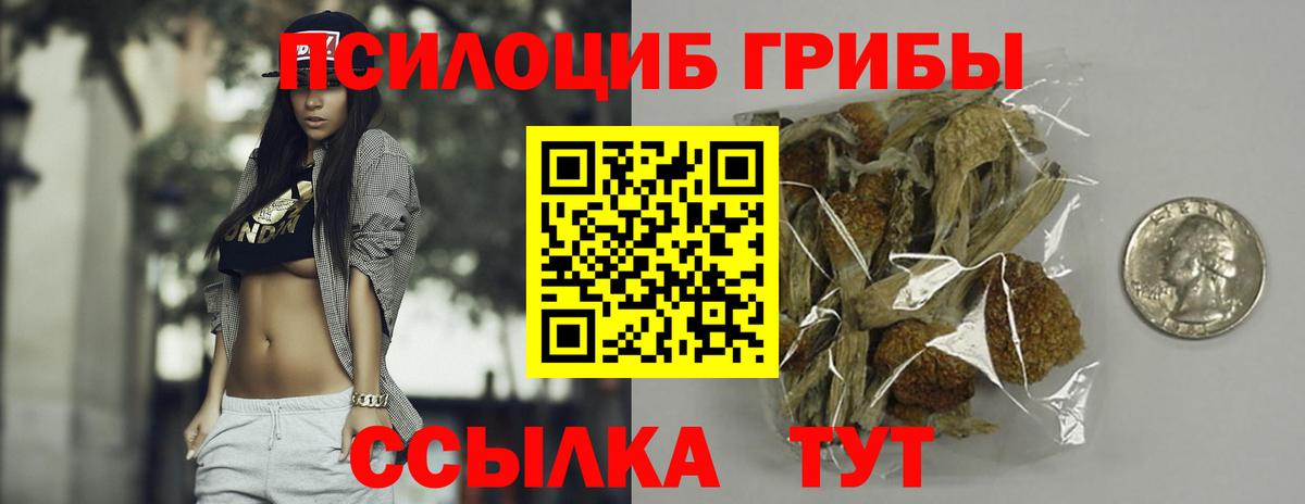 Псилоцибиновые грибы Magic Shrooms Хасавюрт